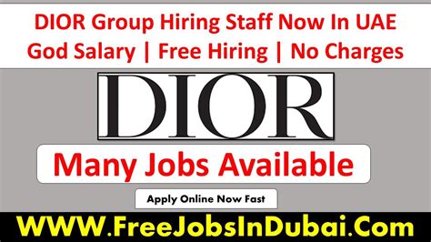 dior job application|christian dior job opportunities.